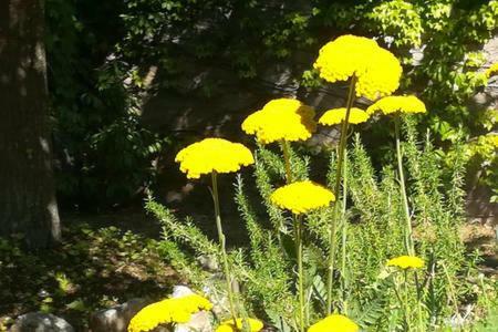 B&B Villaggio Sole Sulmona Exterior foto